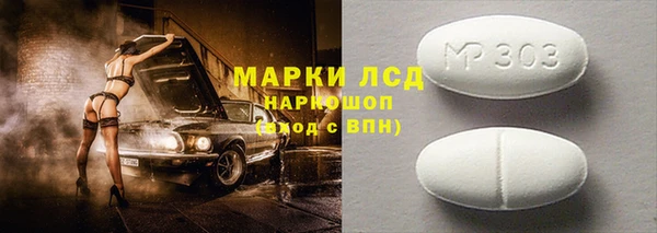 ПСИЛОЦИБИНОВЫЕ ГРИБЫ Новозыбков
