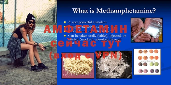 ПСИЛОЦИБИНОВЫЕ ГРИБЫ Новозыбков