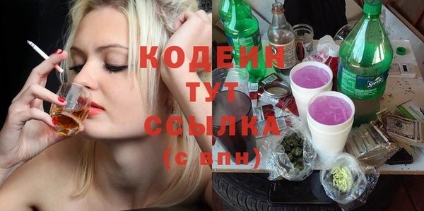 ПСИЛОЦИБИНОВЫЕ ГРИБЫ Новозыбков