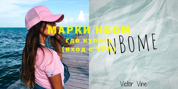 ПСИЛОЦИБИНОВЫЕ ГРИБЫ Новозыбков