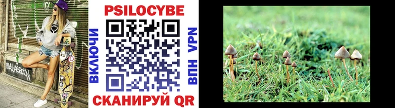 Псилоцибиновые грибы Magic Shrooms  Туапсе 